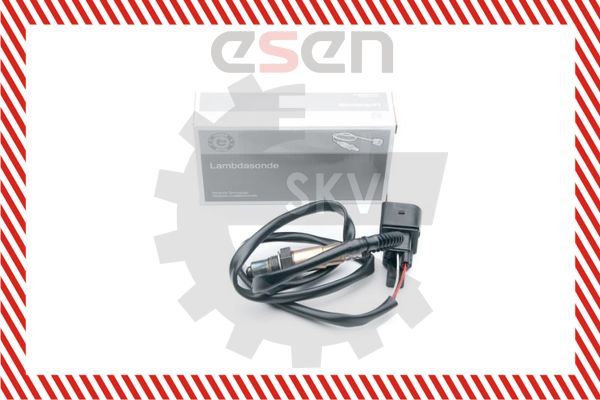 09SKV857, Sensor