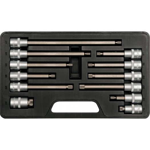YT-7753, Set prize cu biti 1/2" Spline M6-17 CrV (12 buc),
Набор головок торцевых с насадками 1/2" Spline M6-17 CrV (12 шт)
